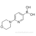 Ácido borónico, B- [6- (4-morfolinil) -3-piridinilo] - CAS 904326-93-8